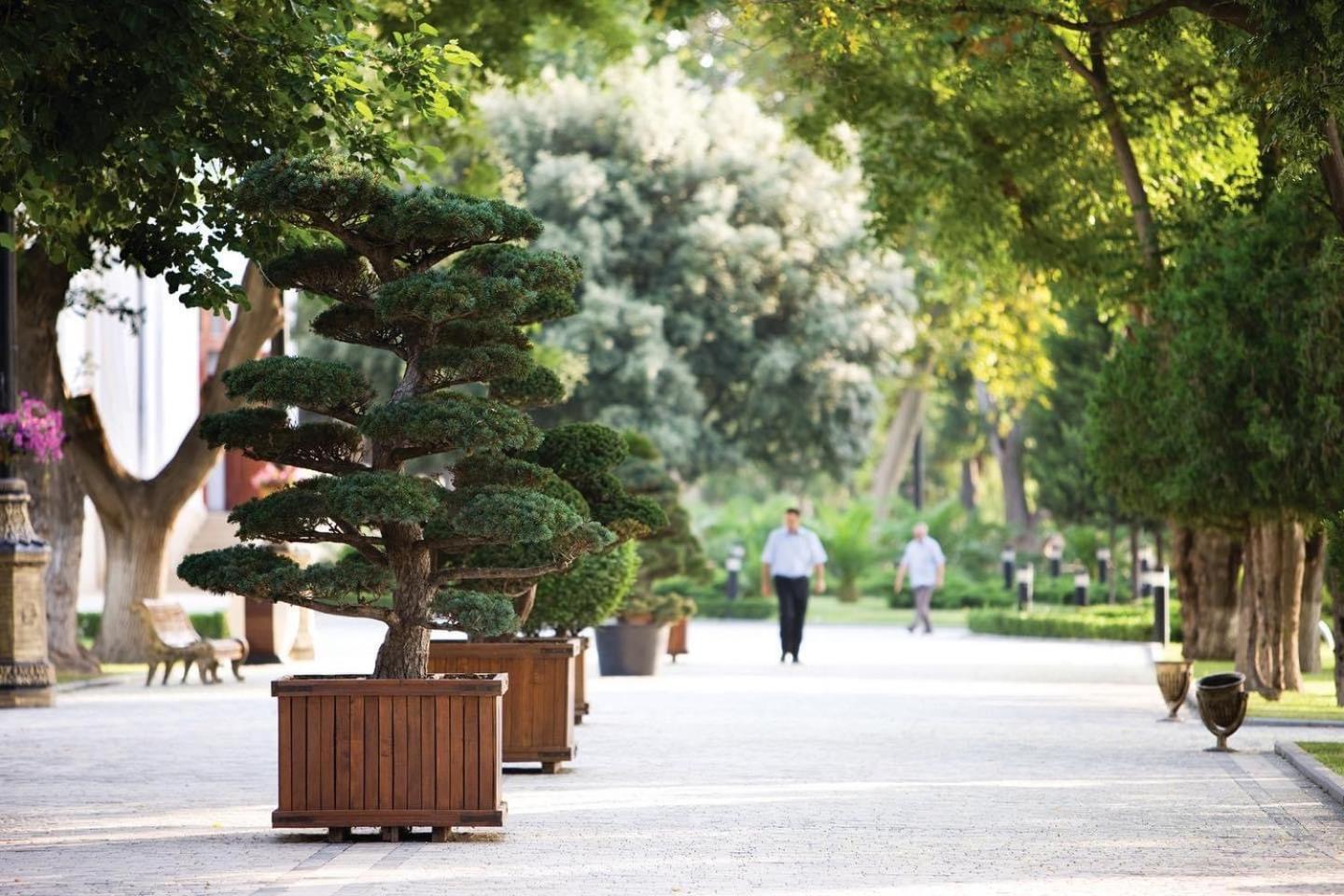 City Inn Nizami Boutique Hotel Baku Exterior foto
